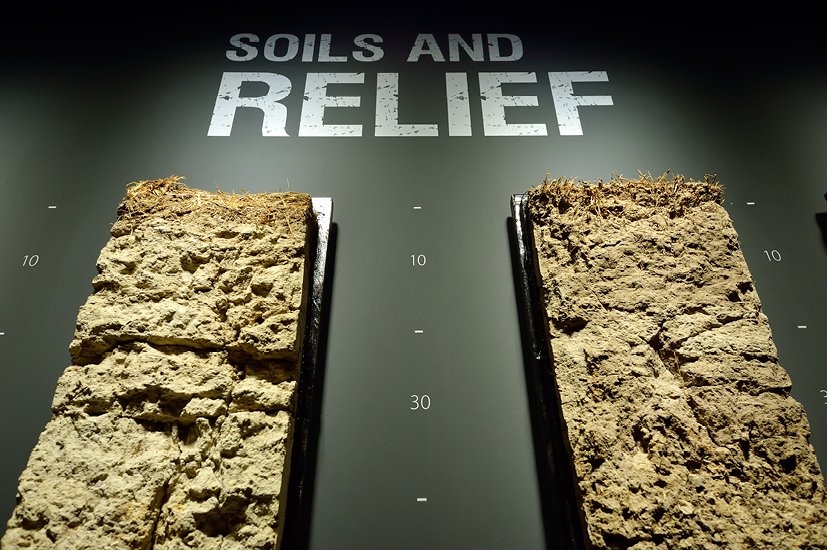 soil6